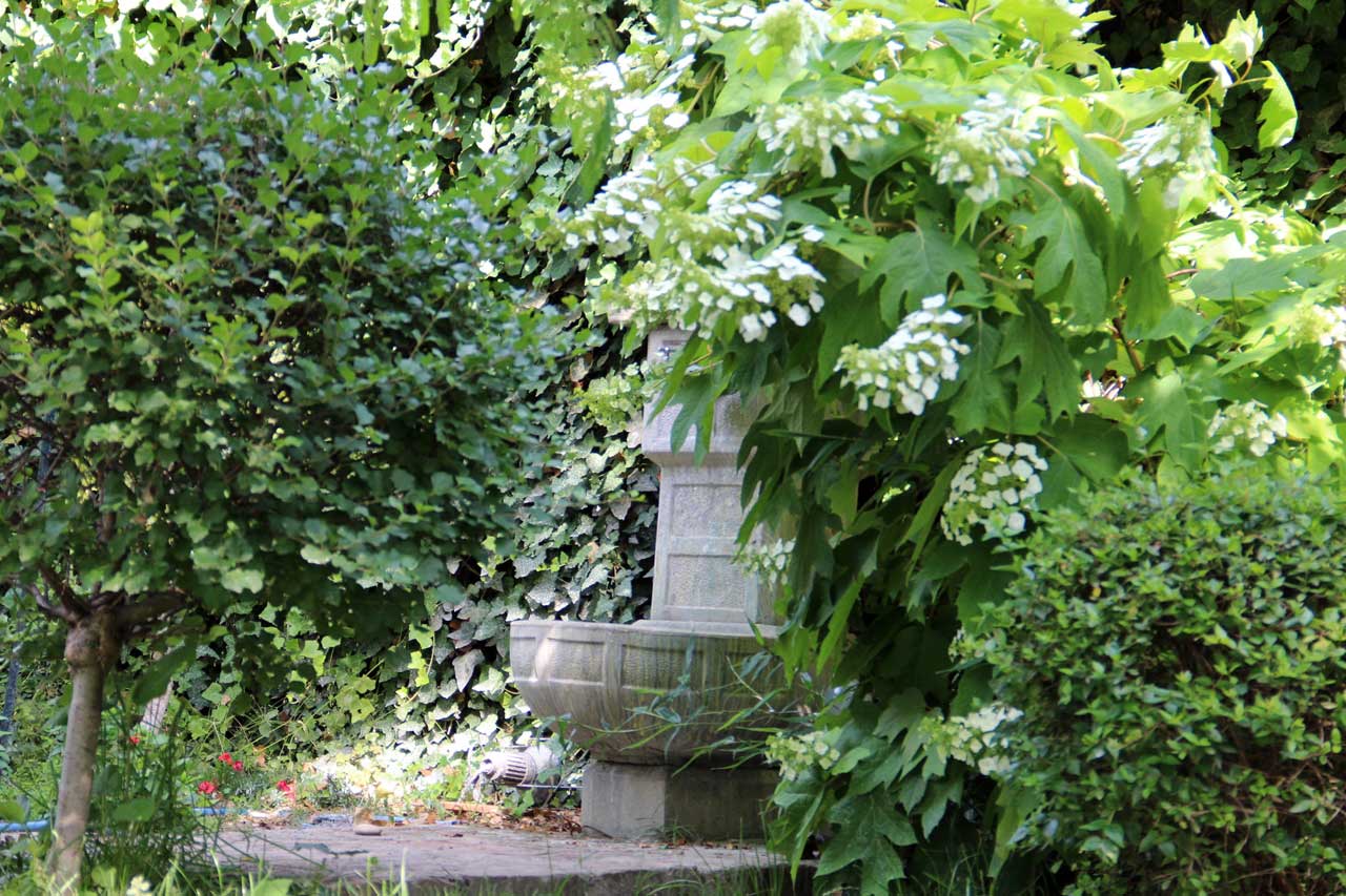 Predškolska ustanova Povratak prirodi - Dunav Platz - Fotografije