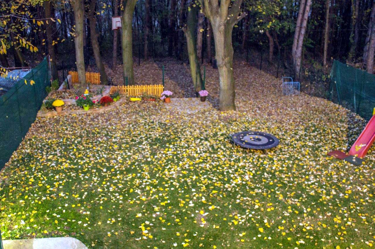 Predškolska ustanova T&T Kids - Fotografije
